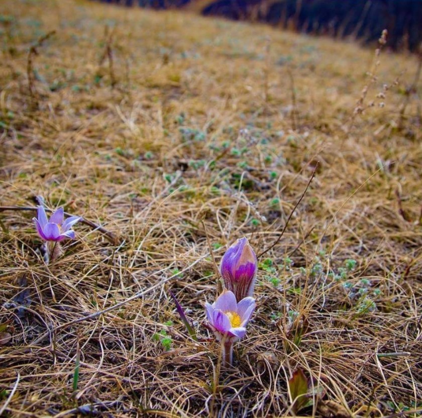 Screenshot_20180322-114842