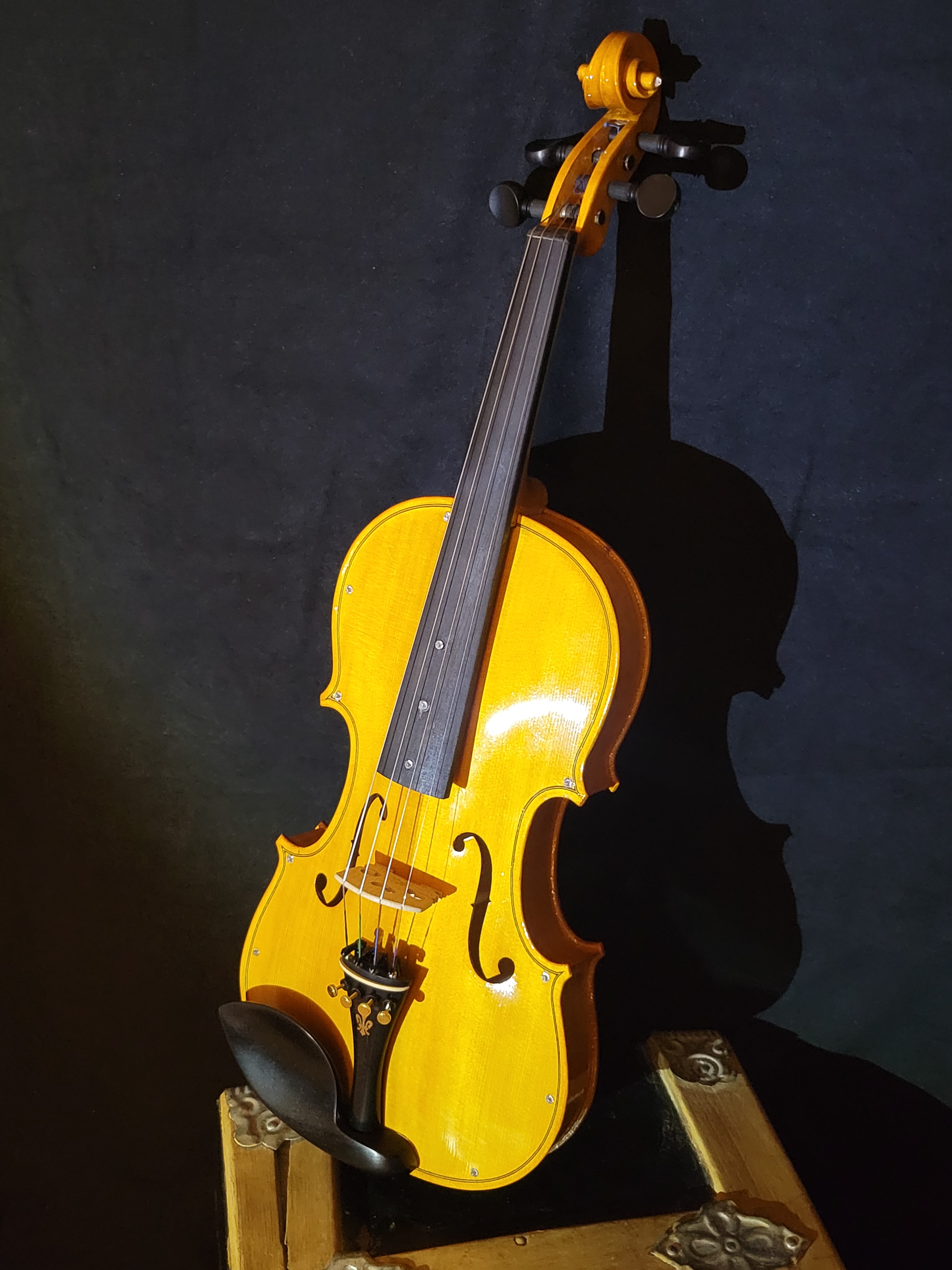 The Dragonfly Fiddle – The Prairie Fiddler